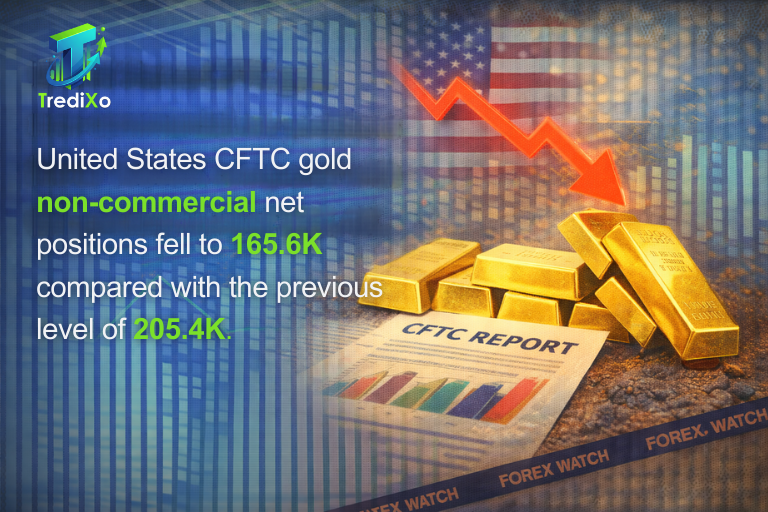 Non-Commercial Net Positions